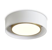 Потолочный светильник Freya FR6170CL-L52BS