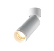 Потолочный светильник Technical C055CL-L12W2.7K-Z-W