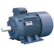 Электродвигатель WEG 200 М6 IM1081