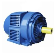 Электродвигатель 5АМН 315MB4 315/1500 IP23