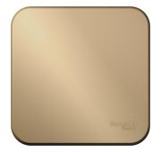 Выключатель 1-кл. ОП Blanca 10А IP20 (сх. 1) 250В с изолир. пластиной титан SE BLNVA101014