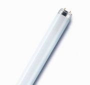 Лампа люминесцентная L 18W/865 LUMILUX 18Вт T8 6500К G13 смол. OSRAM 4058075693098